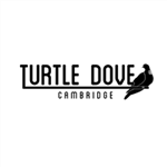 Turtle dove logo